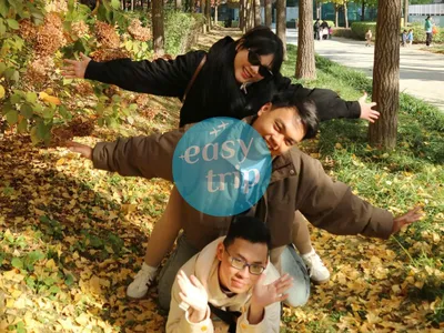 HALLYU IN THE K-FALL