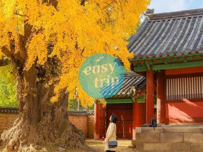HALLYU IN THE K-FALL