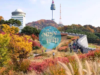 HALLYU IN THE K-FALL
