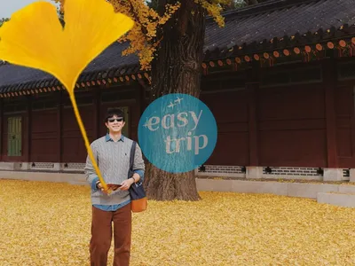 HALLYU IN THE K-FALL