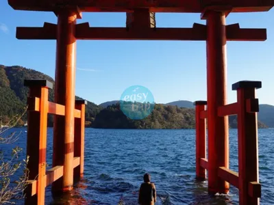 JAPAN - ICHIGO ICHIE