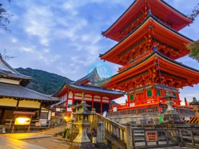 THE UNIQUE JAPAN