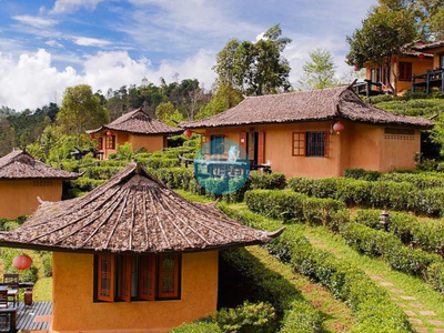 SONGKRAN WATER FEVER - THÁI LAN