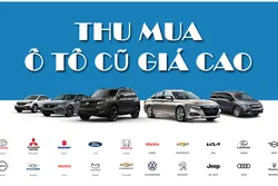 Thu mua xe oto ô tô cũ như Mazda /Toyota/ Honda/KIA/Hyudai/ Ford