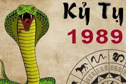 Người tuổi Tỵ mua nhà tại Quận 6: Những lưu ý quan trọng trong năm 2025