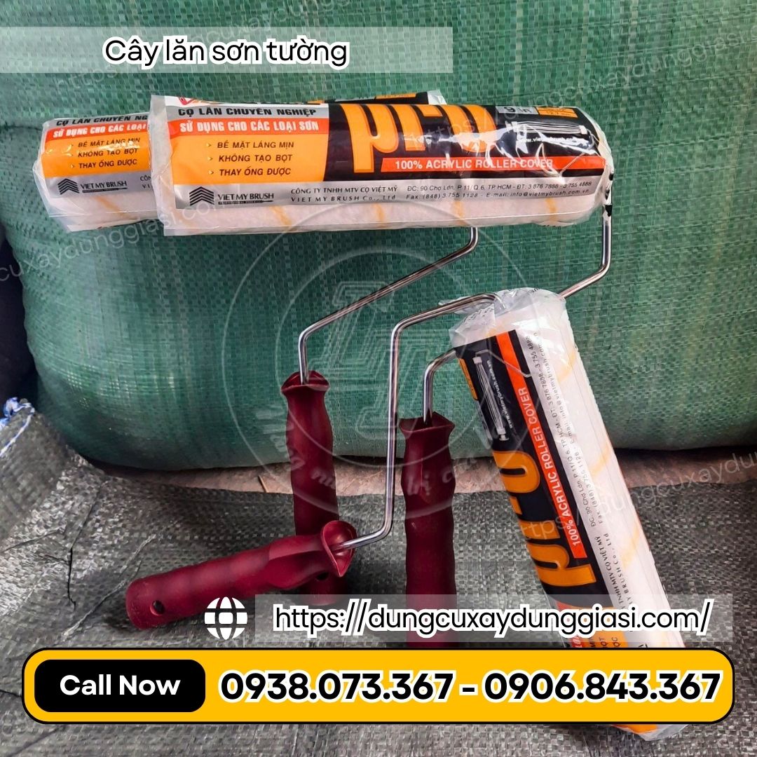 Cây lăn sơn tường