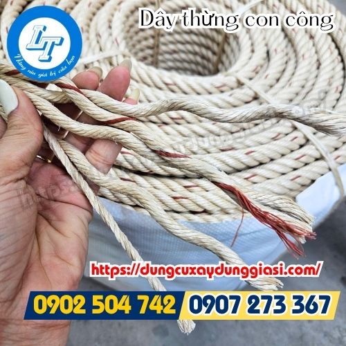 Dây thừng con công