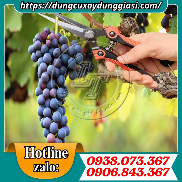 KÉO CẮT TỈA CÀNH MŨI NHỌN