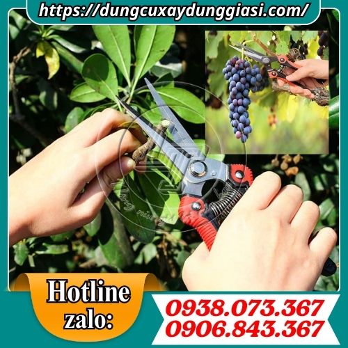 Ứng dụng kéo cắt tỉa cành mũi nhọn