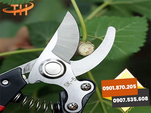 Kéo cắt cành Kéo cắt cành giá rẻ