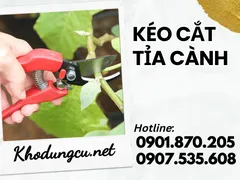 Giá rẻ kéo cắt tỉa cành số lượng lớn
