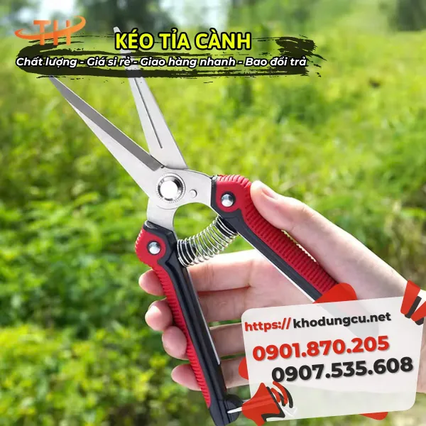 KÉO TỈA CÀNH MŨI NHỌN