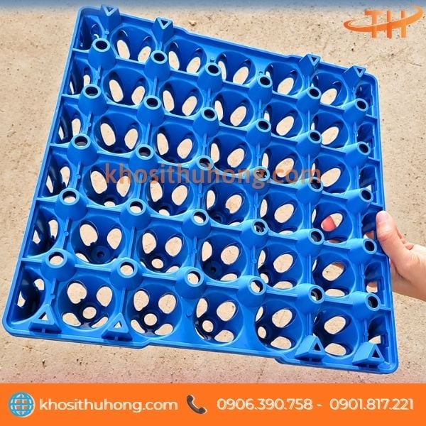 Khay đựng trứng 30 quả nhựa PP Khay đựng trứng 30 quả nhựa PP