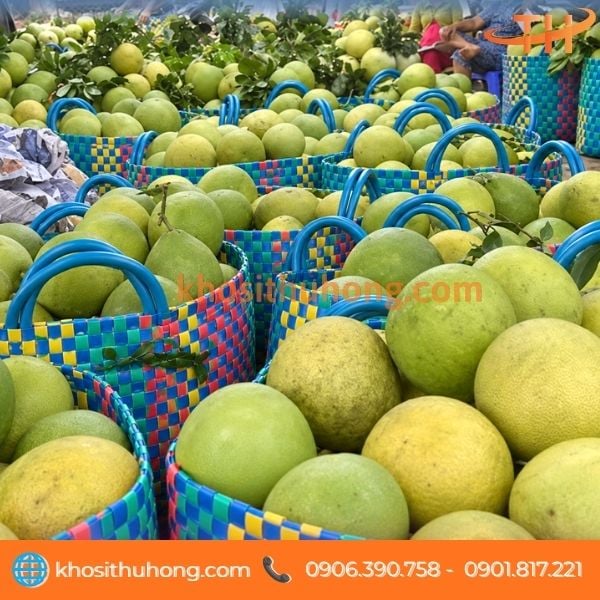 Giỏ nhựa đan loại lớn đựng trái cây tại nhà vườn Giỏ nhựa đan loại lớn đựng trái cây tại nhà vườn