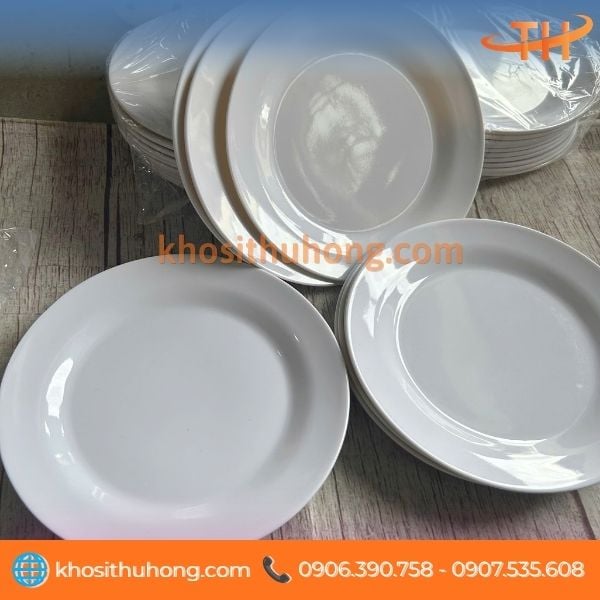 Thông tin về dĩa nhựa mica màu trắng sữa Thông tin về dĩa nhựa mica màu trắng sữa