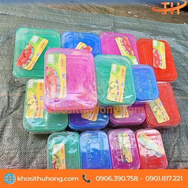 Thu Hồng cung cấp hộp nhựa đựng thực phẩm chữ nhật giá sỉ Thu Hồng cung cấp hộp nhựa đựng thực phẩm chữ nhật giá sỉ
