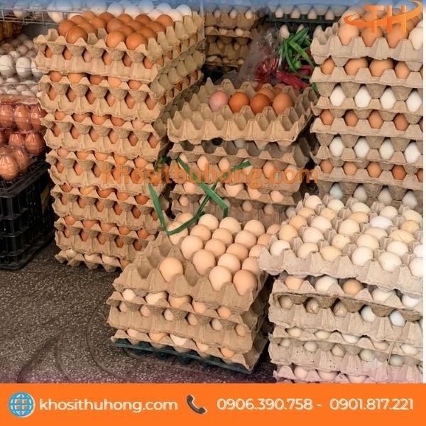 Khay giấy đựng trứng cho trang trại chăn nuôi Khay giấy đựng trứng cho trang trại chăn nuôi