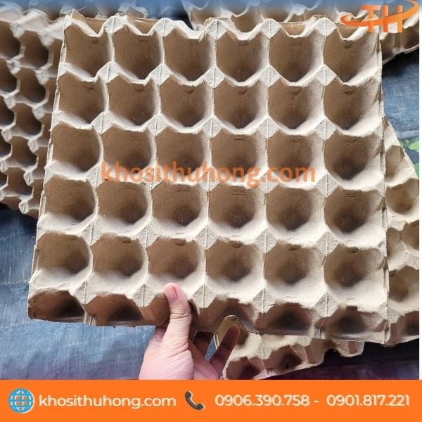 Khay trứng giấy 30 quả trọng lượng nhẹ cố định quả tốt Khay trứng giấy 30 quả trọng lượng nhẹ cố định quả tốt