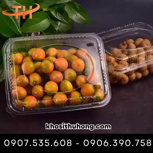 Hộp nhựa có các lỗ thoáng khí giúp trái cây không bị úng