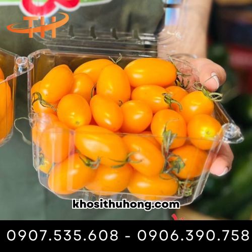 Hộp nhựa đựng cà chua bi