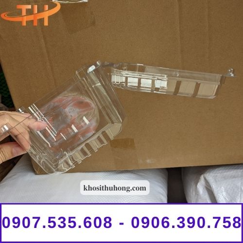 Hộp nhựa trái cây giá rẻ