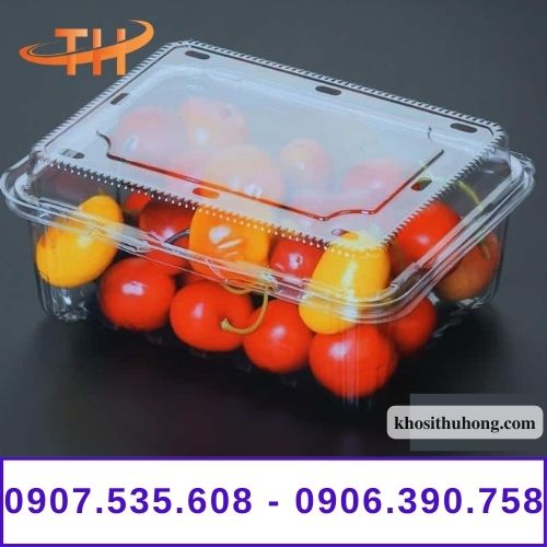 Hộp nhựa trong đựng trái cây