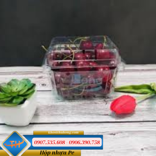 Hộp nhựa đựng hoa quả chất lượng