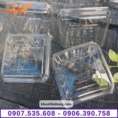 Hộp nhựa đựng trái cây TPHCM