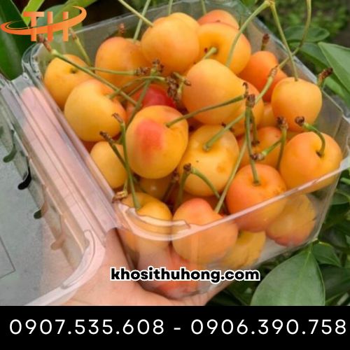 Hộp đựng trái cây cắt sẵn