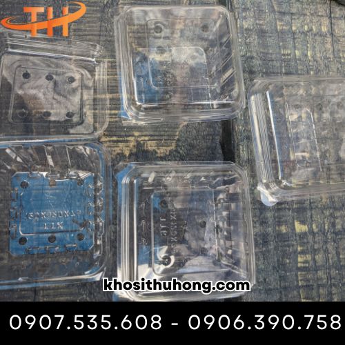 Hộp đựng trái cây 250g