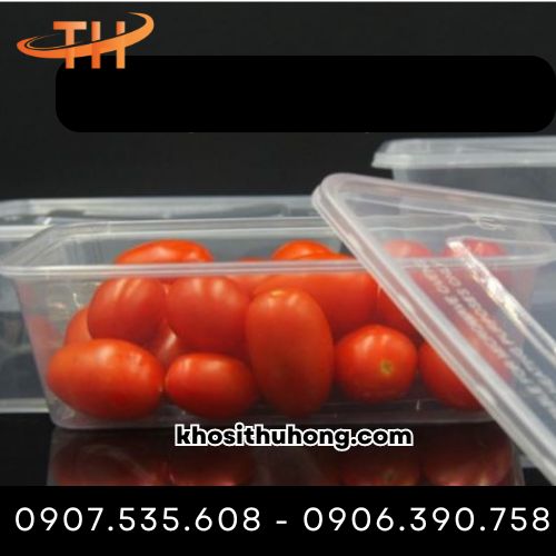 hộp nhựa chữ nhật đựng thực phẩm