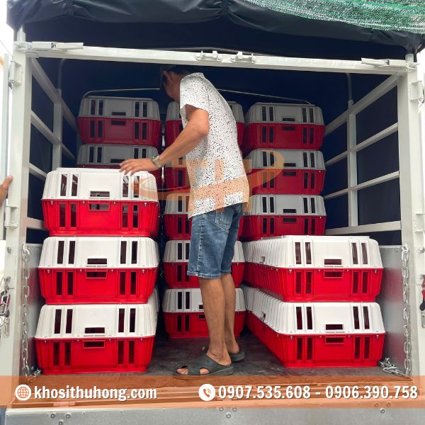 Hoạt động giao hàng chuyên nghiệp và nhanh chóng Hoạt động giao hàng chuyên nghiệp và nhanh chóng