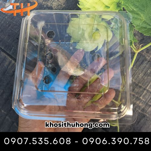 Hộp đựng trái cây 1kg