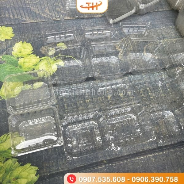 Hộp đựng trái cây giá sỉ cạnh tranh nhất thị trường Hộp đựng trái cây giá sỉ cạnh tranh nhất thị trường