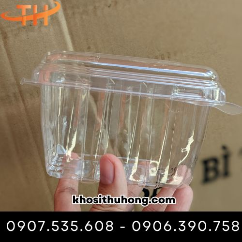 Hộp đựng trái cây 250g