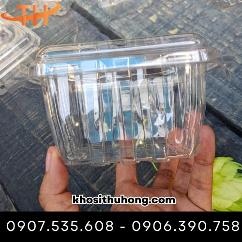 Hộp đựng trái cây 500g