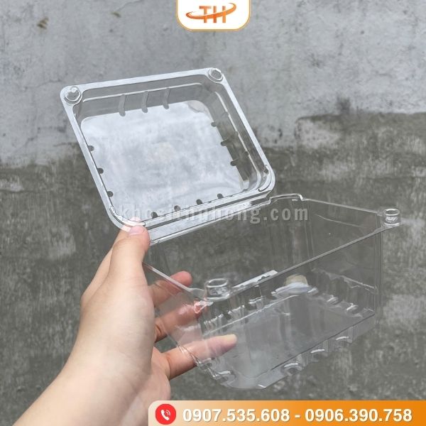 Hộp đựng trái cây P500D (500g) Hộp đựng trái cây P500D (500g)