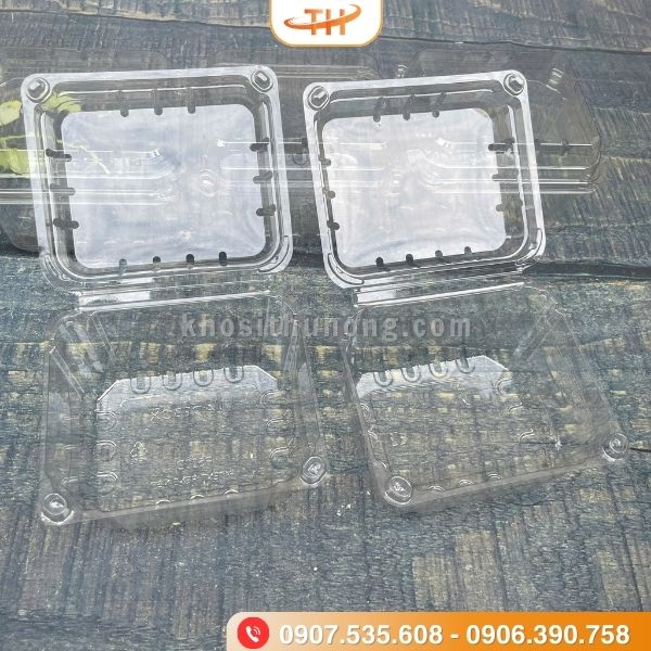 Hộp trái cây nửa ký dùng 1 lần hoặc tái sử dụng tiện lợi Hộp trái cây nửa ký dùng 1 lần hoặc tái sử dụng tiện lợi