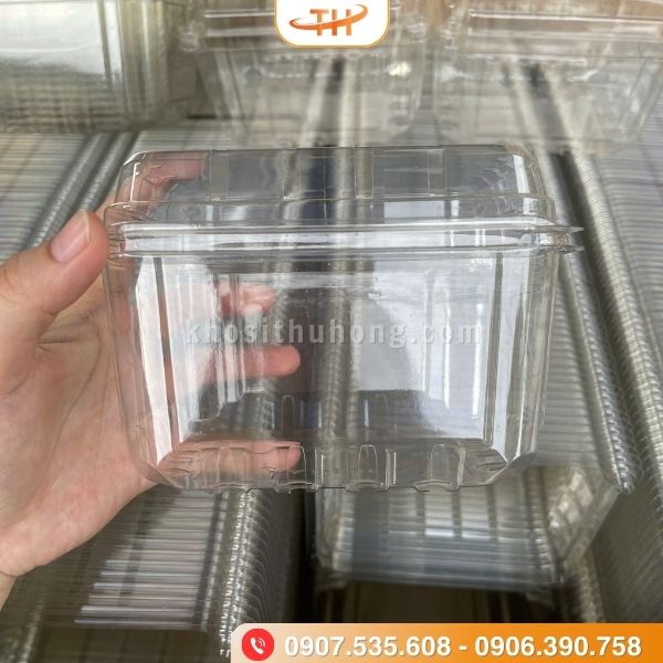 Hộp nhựa đựng trái cây nửa ký với chất nhựa bền bỉ Hộp nhựa đựng trái cây nửa ký với chất nhựa bền bỉ