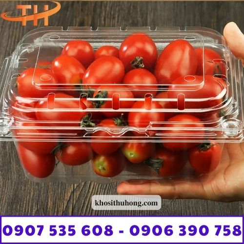 Hộp nhựa trái cây giá rẻ