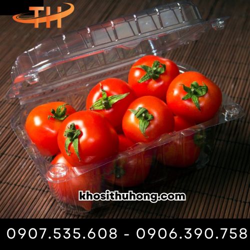 Mua hộp nhựa đựng trái cây ở đâu