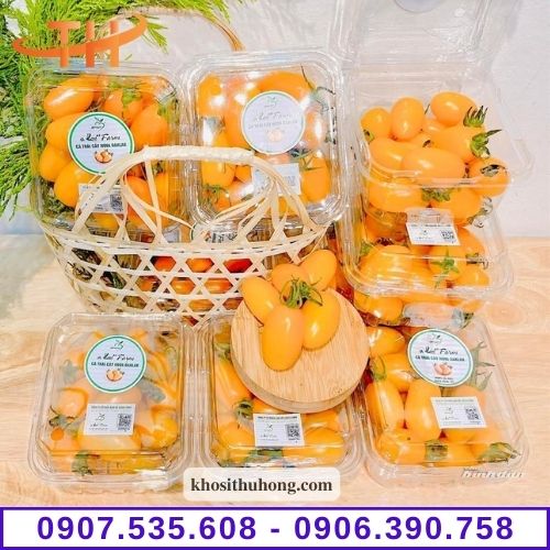 hộp nhựa trong đựng trái cây