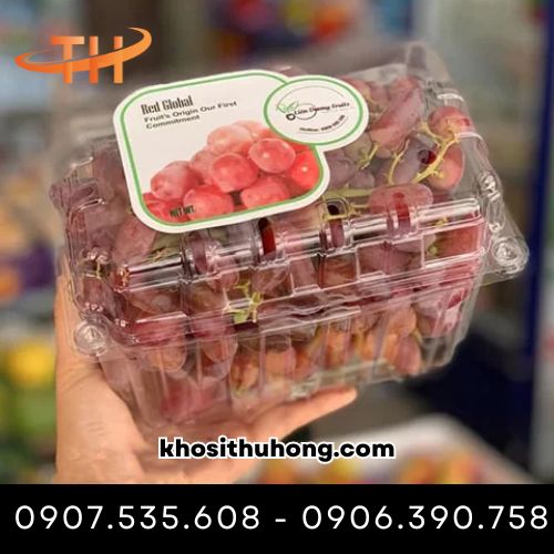 Hộp nhựa có độ trong suốt cao