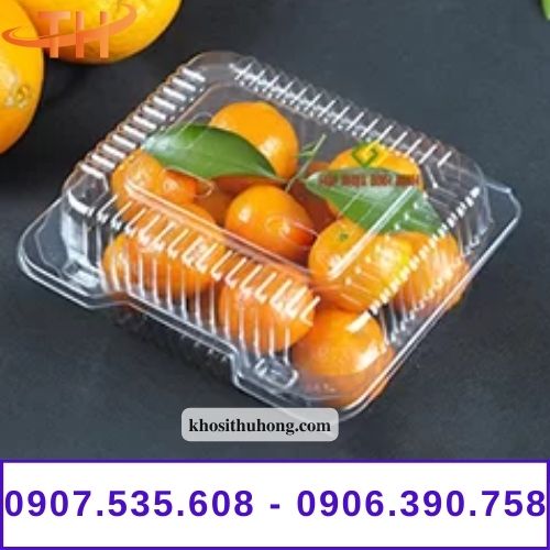 Hộp nhựa đựng trái cây 1kg
