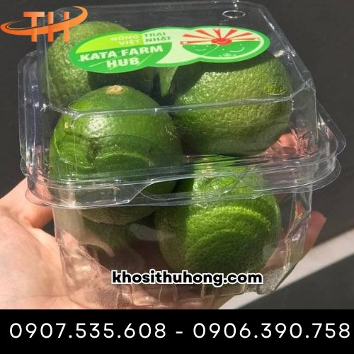 Hộp nhựa đựng trái cây 500g