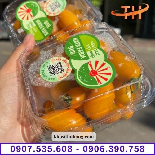 Hộp nhựa trái cây dùng 1 lần