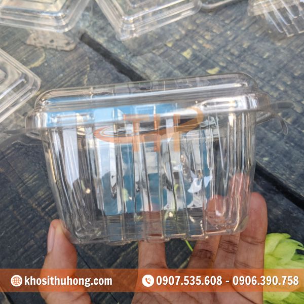 Hộp nhựa đựng trái cây 250g thiết kế đơn giản mà sang trọng Hộp nhựa đựng trái cây 250g thiết kế đơn giản mà sang trọng