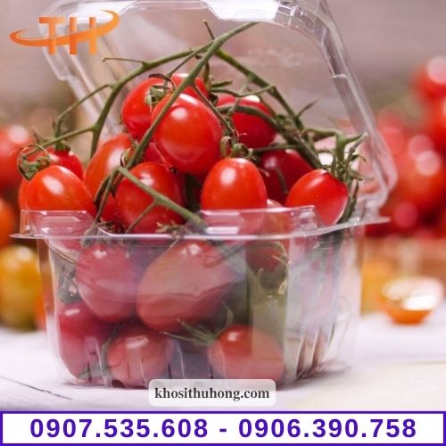 Hộp đựng trái cây quà tặng