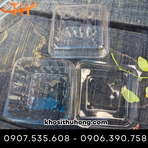 Hộp nhựa đựng trái cây 250g