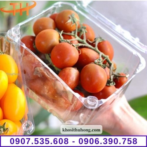 Hộp Nhựa Trái Cây giá rẻ